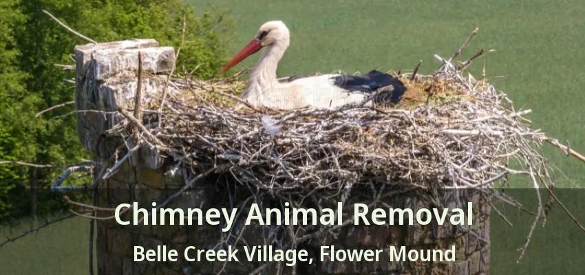 Chimney Animal Removal Belle Creek Village, Flower Mound - TX