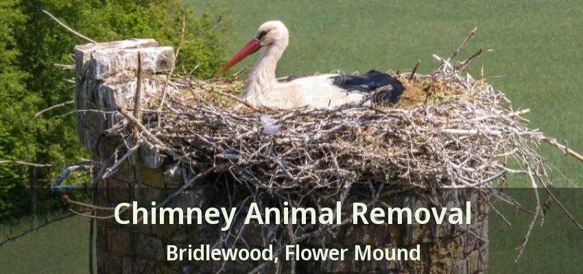 Chimney Animal Removal Bridlewood, Flower Mound - TX