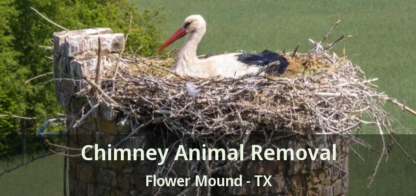 Chimney Animal Removal Flower Mound - TX
