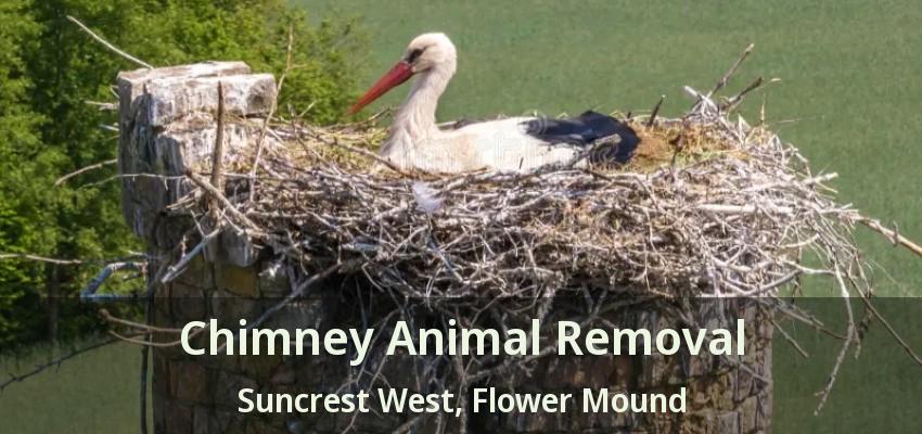 Chimney Animal Removal Suncrest West, Flower Mound - TX
