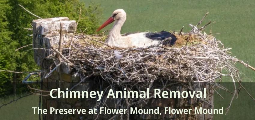 Chimney Animal Removal The Preserve at Flower Mound, Flower Mound - TX