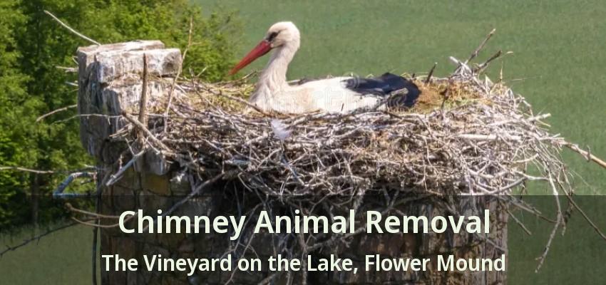 Chimney Animal Removal The Vineyard on the Lake, Flower Mound - TX