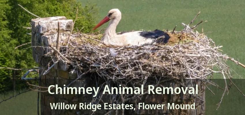 Chimney Animal Removal Willow Ridge Estates, Flower Mound - TX