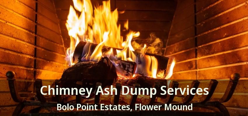 Chimney Ash Dump Services Bolo Point Estates, Flower Mound - TX