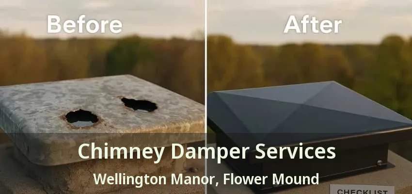 Chimney Damper Services Wellington Manor, Flower Mound - TX