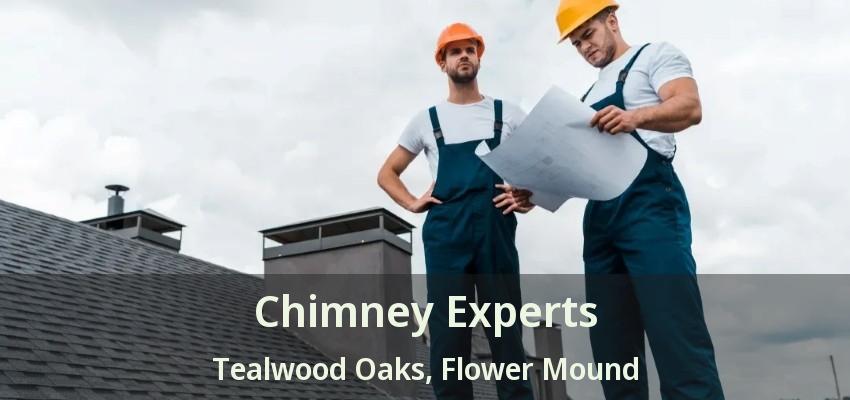 Chimney Experts Tealwood Oaks, Flower Mound - TX
