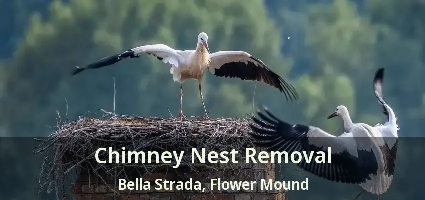 Chimney Nest Removal Bella Strada, Flower Mound - TX