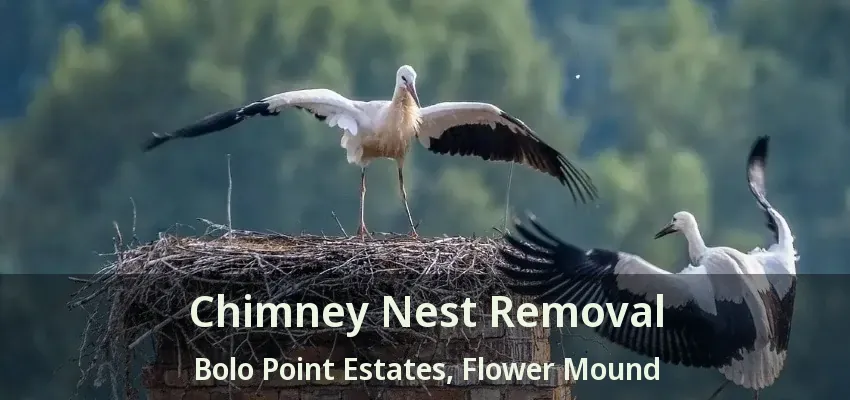 Chimney Nest Removal Bolo Point Estates, Flower Mound - TX