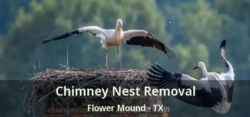 Chimney Nest Removal Flower Mound - TX