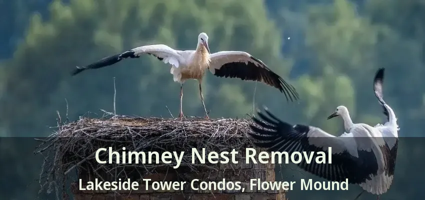 Chimney Nest Removal Lakeside Tower Condos, Flower Mound - TX
