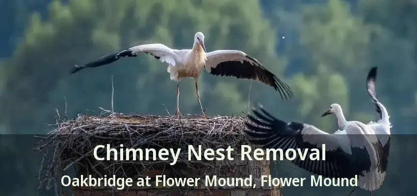 Chimney Nest Removal Oakbridge at Flower Mound, Flower Mound - TX
