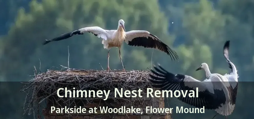 Chimney Nest Removal Parkside at Woodlake, Flower Mound - TX
