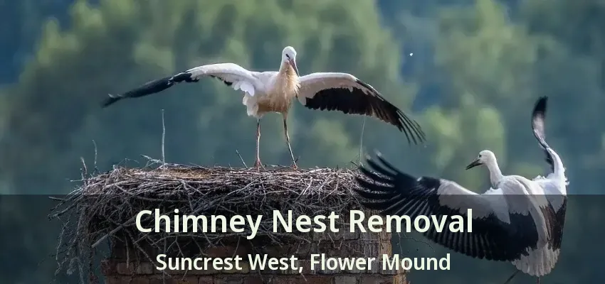 Chimney Nest Removal Suncrest West, Flower Mound - TX