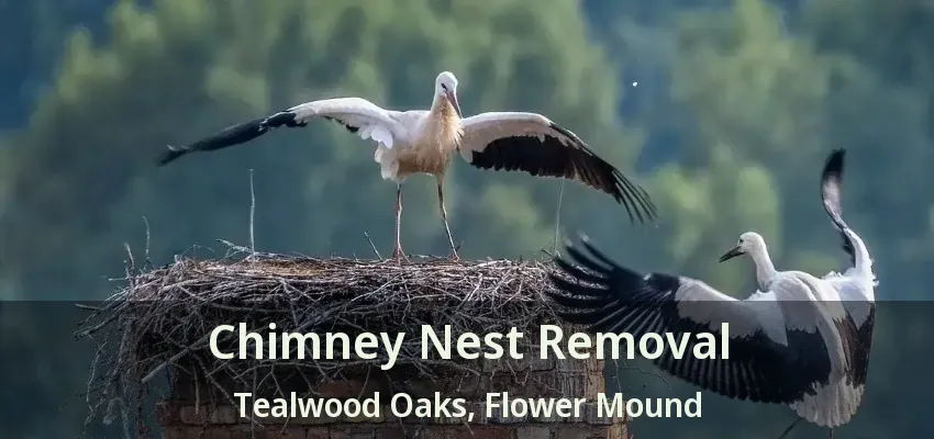 Chimney Nest Removal Tealwood Oaks, Flower Mound - TX