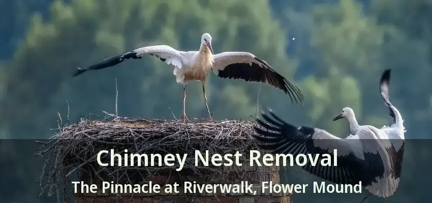 Chimney Nest Removal The Pinnacle at Riverwalk, Flower Mound - TX