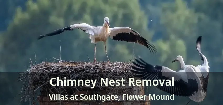 Chimney Nest Removal Villas at Southgate, Flower Mound - TX