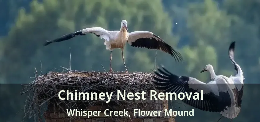 Chimney Nest Removal Whisper Creek, Flower Mound - TX