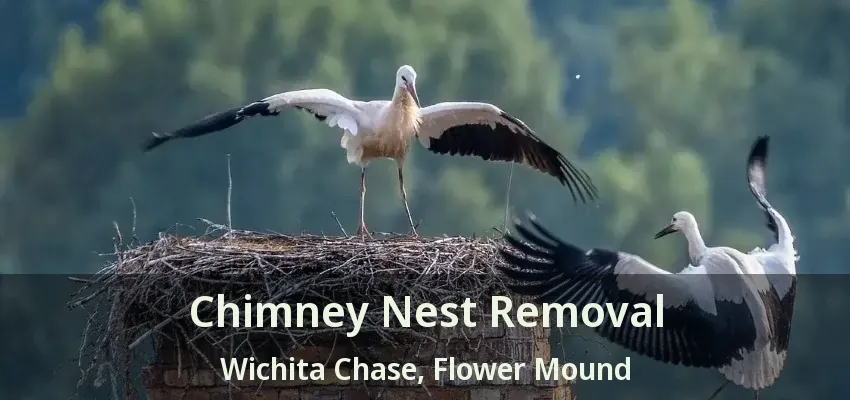 Chimney Nest Removal Wichita Chase, Flower Mound - TX