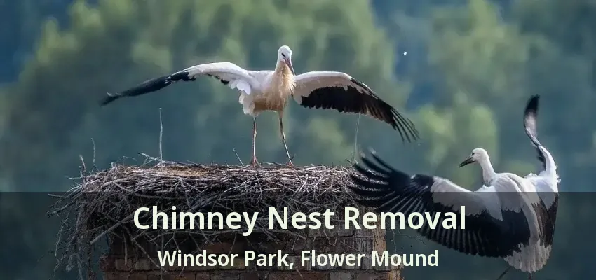 Chimney Nest Removal Windsor Park, Flower Mound - TX