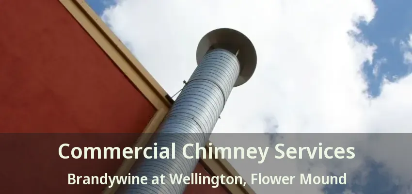 Commercial Chimney Services Brandywine at Wellington, Flower Mound - TX