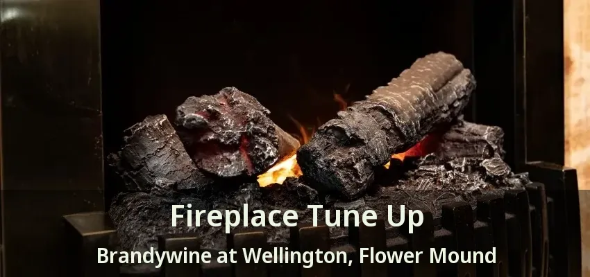 Fireplace Tune Up Brandywine at Wellington, Flower Mound - TX