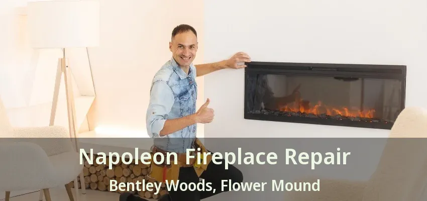 Napoleon Fireplace Repair Bentley Woods, Flower Mound - TX