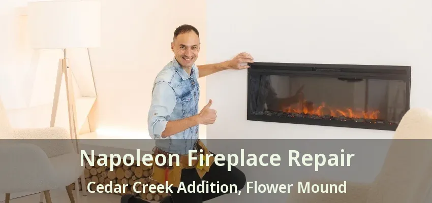 Napoleon Fireplace Repair Cedar Creek Addition, Flower Mound - TX