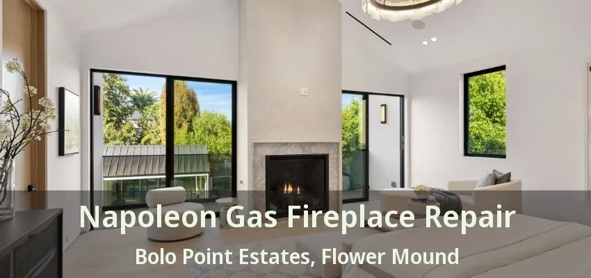 Napoleon Gas Fireplace Repair Bolo Point Estates, Flower Mound - TX