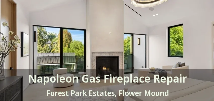 Napoleon Gas Fireplace Repair Forest Park Estates, Flower Mound - TX