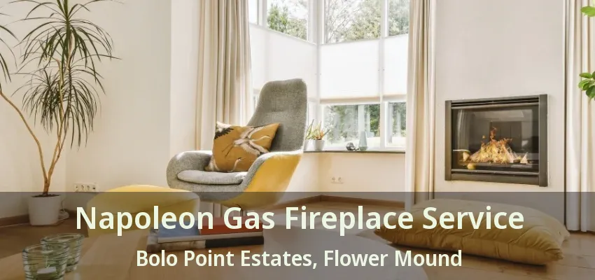Napoleon Gas Fireplace Service Bolo Point Estates, Flower Mound - TX