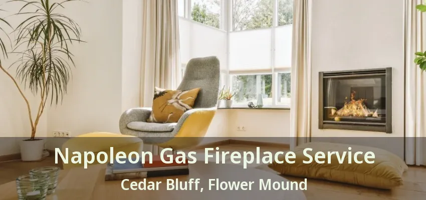 Napoleon Gas Fireplace Service Cedar Bluff, Flower Mound - TX
