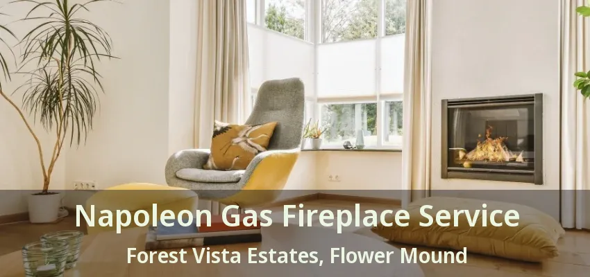 Napoleon Gas Fireplace Service Forest Vista Estates, Flower Mound - TX