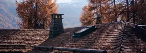 Chimney Animal Removal Flower Mound