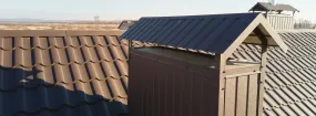Chimney Cap Services Flower Mound