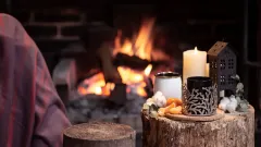 Fireplace Inspection Flower Mound
