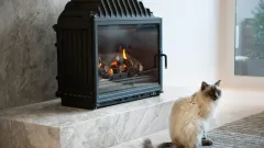 Wood Burning Fireplace Repair Flower Mound