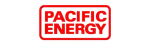 Pacific Energy Regency Fireplace Repair in Flower Mound