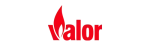 Valor Regency Fireplace Repair in Flower Mound