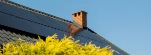 Chimney Sweep Flower Mound